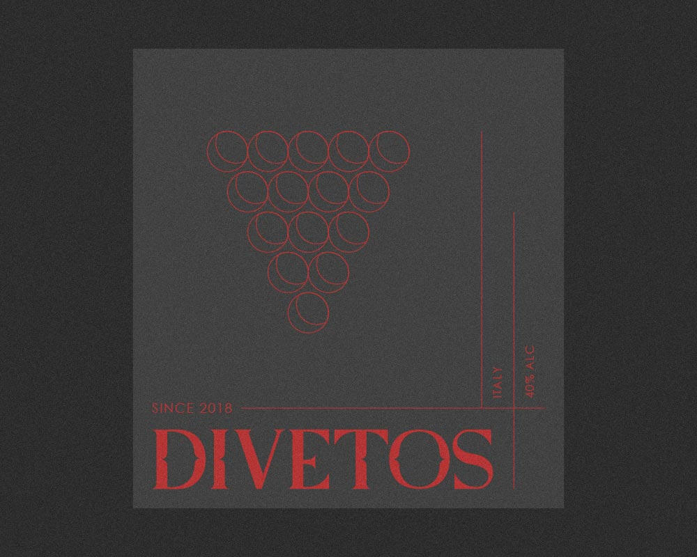 Divetos project detail 4