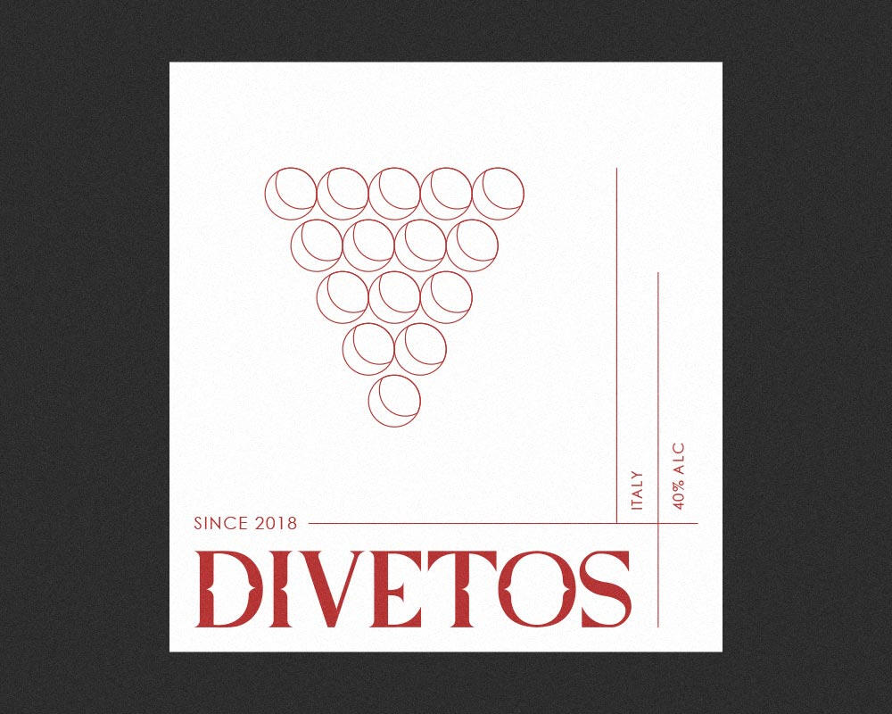 Divetos project detail 5