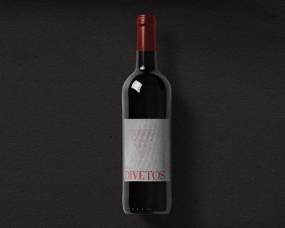 Divetos logo design by Anh Do