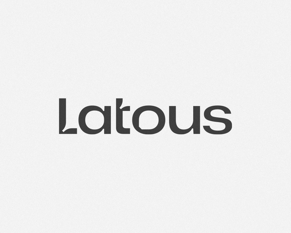 Latous project detail 1