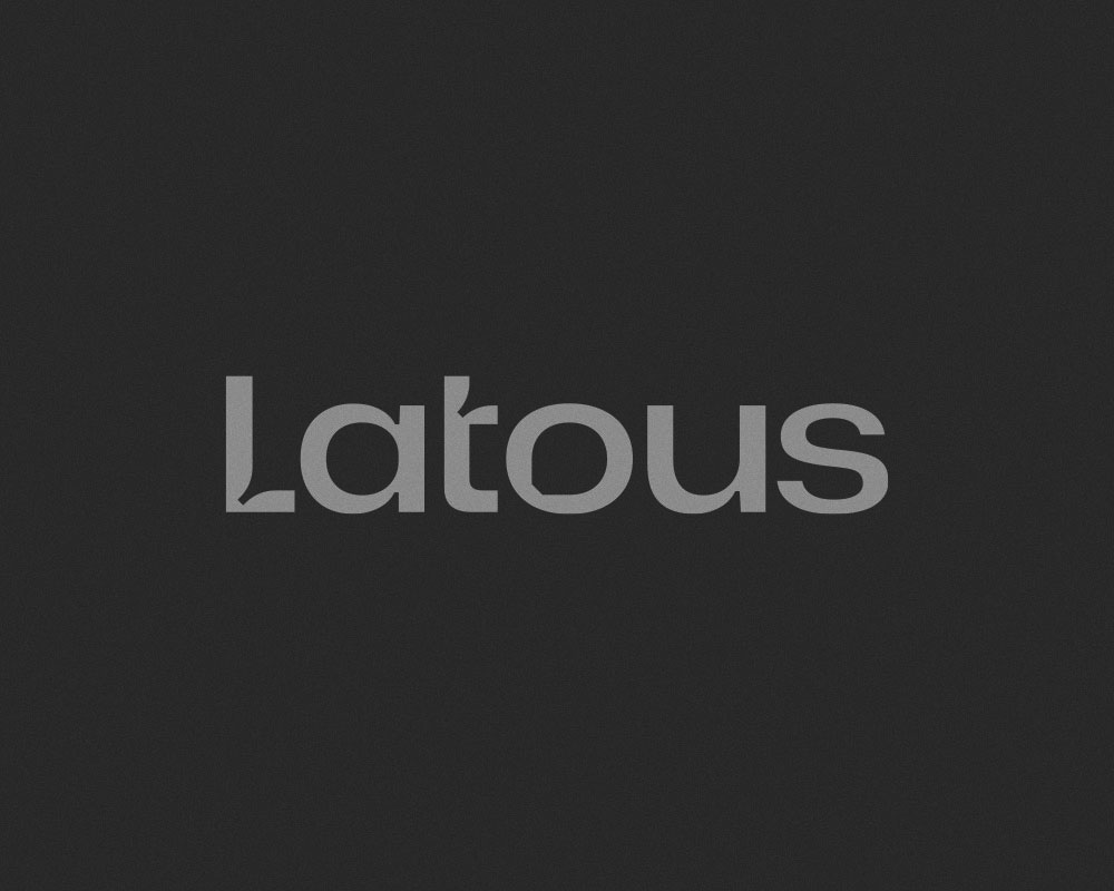 Latous project detail 4