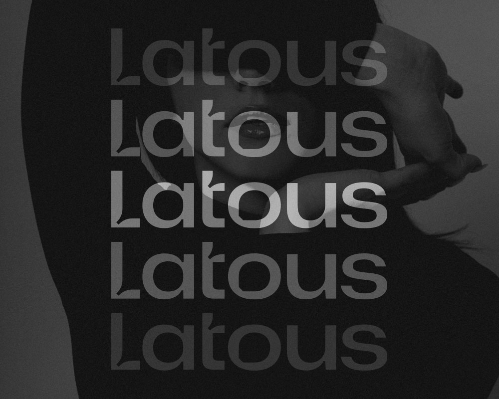 Latous project detail 7