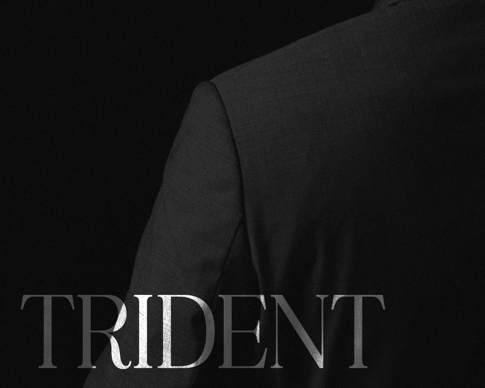 Trident project detail 5