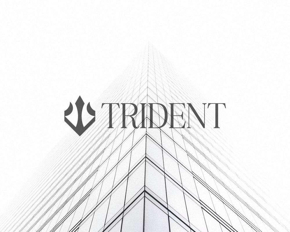 Trident project detail 6
